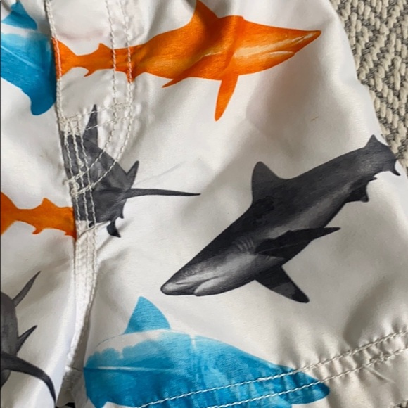Sz 6-9 mo “Shark” Boardshorts - Picture 8 of 8